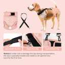 wegreeco XL Reusable Washable Dog Diapers Female with 1PC Suspender, Dogs Period Heat Diapers Female Heat Cycle, XL Doggie Puppy Diapers for Incontinence (X-Large)