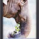 RPJC 11x17 inch Solid Wood Poster Frame for Wall Mounting Hanging Picture Frames Black (11x17, Black)