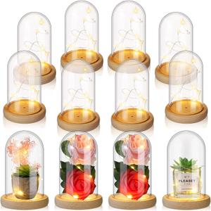 Roowest 12 Pcs Plastic Cloche Dome with Rustic Wood Base and LED Light Plastic Dome Display Case Jar for Wedding Rose Tabletop Centerpiece Decoration (6.5 x 3.7 Inch)