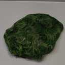 fun shack Mens Chocolate Factory Worker Wig Adults Bright Green Costume Accessory (One Size)