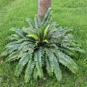 Artificial Ferns for Outdoors & Indoors, 51in Fake Fern Large Plants with 66 Fronds, UV Resistant Faux Greenery Suitable for Entrance Planter Porch Garden Hall Home Office Decor