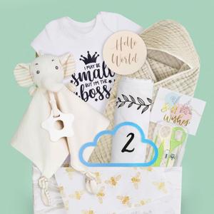 8Pcs Gender Reveal Gifts, for Newborn Boys, Baby Boy Gift Basket for First Time Expecting Parents to Be, Pregnancy Announcement & Care Package for Mum & Dad
