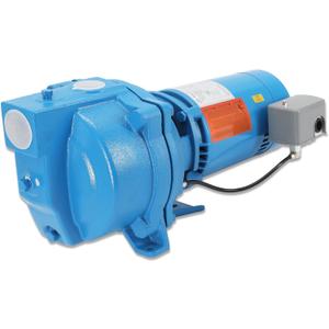 1/2 HP Residential Shallow Well Jet Pump, Heavy-Duty Cast Iron Self-Priming Water Pump for Home Water Supply & Garden Irrigation,115V