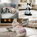 3 Pack Washable Female Dog Diapers with Suspender - Reusable Super Absorbent & Leakproof Fixed Doggie Diapers for Dogs in Heat Cycle M