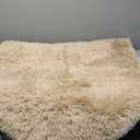 Softlife Fluffy Rugs for Bedroom, Shag Cute Area Rug for Girls and Kids Baby Room Home Decor Fall Decor, 2.6 x 5.3 Feet Oval Indoor Carpet for Nursery Dorm Living Room, Camel