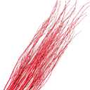 Branches for Vase, 3'4' Natural Birch Tree Branches for Decoration, Bundle of 10 Tall Decorative Sticks for Vases, Rustic Wood Branches for Crafts, Weddings, Seasonal & Home Dcor - Red