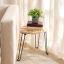 Gerrii Monstera Leaf Side Tables 15.8" h Wood & Metal Patio Table for Indoor Outdoor Use Plant Stand Small End Table Folding Stool for Living Room Bedroom Apartment Balcony Yard Picnic, Camping, 15.8"L x 12"W x 15"H