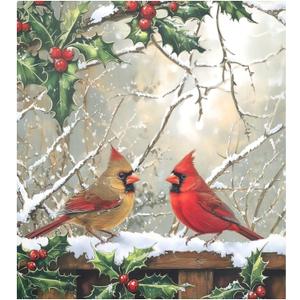 3 x Christmas Red Male Female Birds Holly Leaves Dishwasher Magnet Cover 23x26 in Refrigerator Magnetic Stickers for Kitchen Home Decoration Fridge Panel Decal Pad