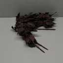 6 Pcs 30" Cimicifuga Plant Leaves Spray Fall Floral Stems Faux Plum cimicifuga Foliage Branch for Home Vase Autumn Decor Flowers Arrangement Table Wedding Garden Farmhouse