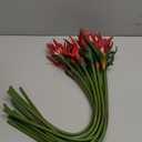 Hanaive 12 Pcs Bird of Paradise Artificial Plant 24 Inches Hawaiian Tropical Flowers Fake Rubber Strelitzia Faux Flowers Bouquet for Home Garden Office Wedding Indoor Outside Party Decor DIY (Pink)