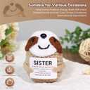 2 x Sisters Gifts from Sister Emotional Support Crochet Sloth for Sister Anniversary Birthday Christmas Easter Graduation Gift and Christmas Stocking Easter Basket Stuffer