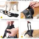 HEYWEAN Dog Sling for Large Dogs Hind Leg Support Harness Ideal for Elderly Injured Arthritic Dogs Provides Rehabilitation Aid for Weak Back Legs Comfortable and Durable Design, XL