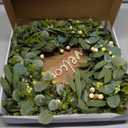 AMF0RESJ Green Eucalyptus Wreaths for Front Door Spring Summer Wreath with Eucalyptus Leaves,Olives Leaves,Mixed Berry for Indoor Outdoor Farmhouse Home Porch Wall Window Festival Wedding Decor
