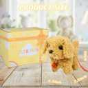 Plush Toys Walking Dog Toys That Can Walk, Bark and Wag Tail,Interactive Electronic Pet Toys Puppy with Leash,Easter Christmas Birthday Gift for Toddlers Kids