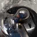 Hamilton Beach Walk 'n Cut Electric Can Opener for Kitchen, Use On Any Size, Automatic and Hand-Free, Cordless & Rechargeable, Easy Clean Removable Blade, Black (76501G)