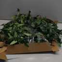 24 Inch Olive Wreath for Front Door - Spring Summer Artificial Greenery Wreath with Lifelike Olive Fruits - Year Round Farmhouse Decor for Wall Window Indoor Outdoor