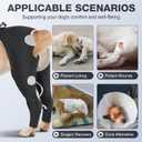Dog Hind Leg Sleeve to Stop Licking  Breathable Rear Leg Brace with Back Buckle for Wound Protection, Reflective Recovery Sleeve, Cone Alternative  Size XS (Black, XS)