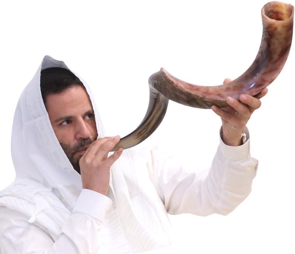 Kosher Kudu Shofar Horn from Israel 43-45  Traditional Half Polished Kudu Shofar Holy Voice Easy Blowing Ancient Jewish Musical Instrument