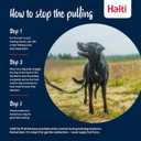 Halti No Pull Harness - Stop Your Dog Pulling on The Leash. Adjustable, Lightweight and Easy to Use. Reflective Dog Training Harness for Medium Dogs (Size M, Cobalt Blue)
