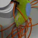 Interactive Cat Toys for Indoor Cats: Automatic Flying Bird Feather Wand Chase Exercise Enrichment Stimulation, USB Rechargeable Durable Safe Hanging Toy for Bored Kittens Adult Multi Cat Households (White)