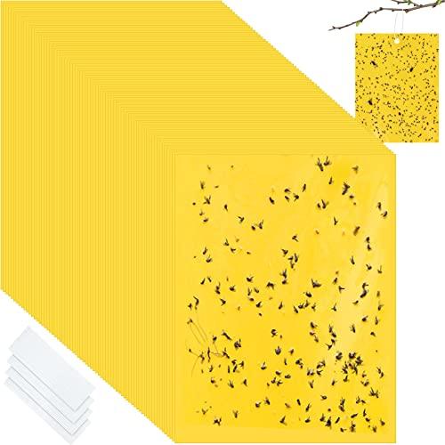 Qualirey 150 Pcs 6 x 8 Inch Sticky Traps for Plant Double Sided Sticky Trap for Gnats with Twist Ties Fly Traps for Fruit Insect Fungus Bugs Indoor Outdoor (Yellow)
