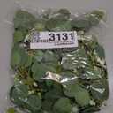 LSKYTOP Green Eucalyptus Wreaths 12'' Artificial Spring Summer Eucalyptus Leaf Wreaths with Berries for Home Farmhouse Front Door Decor