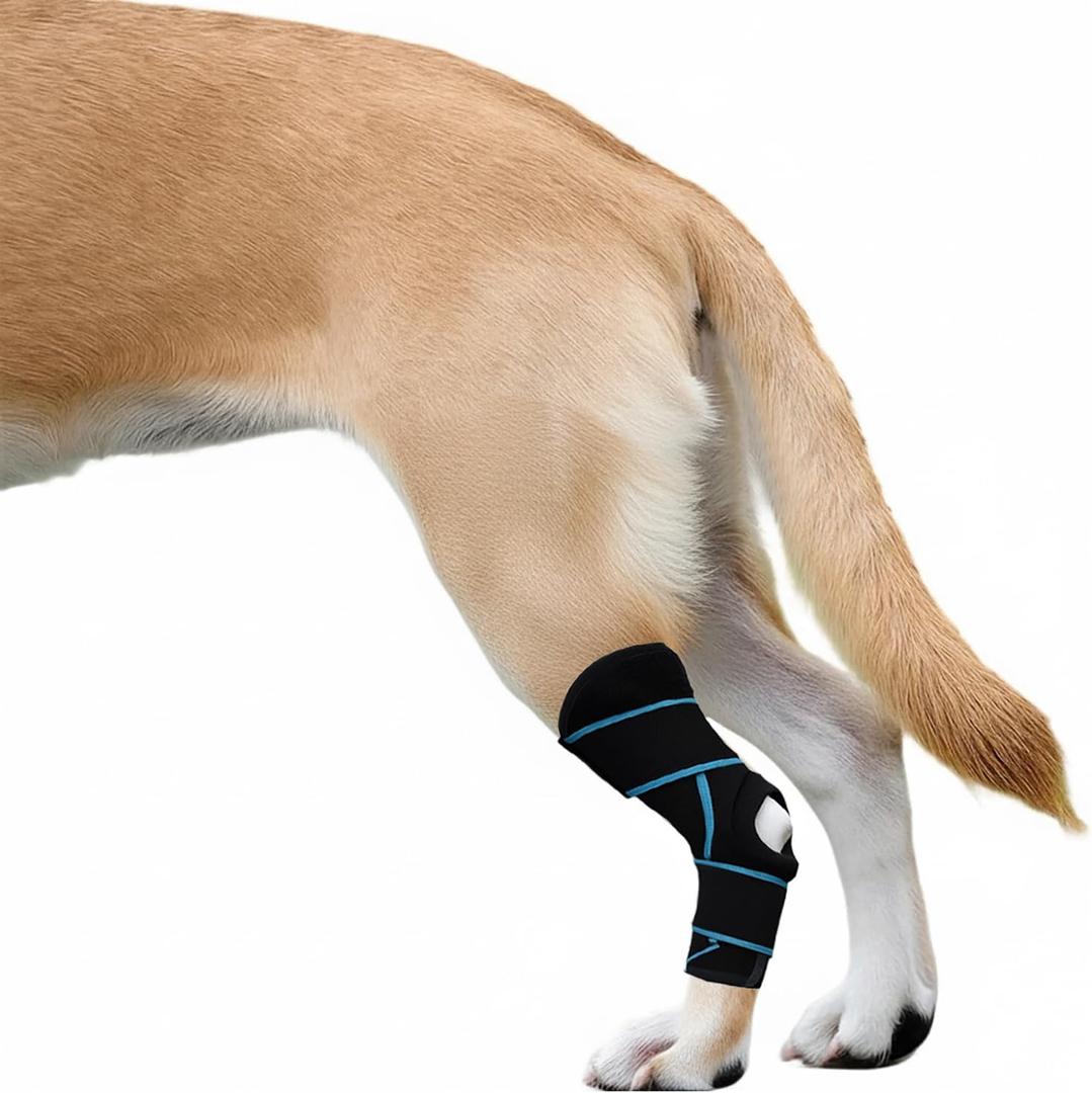 2 x Dog Knee Brace for Back Leg, ACL Support for Large Dogs, Adjustable Dog Leg Brace for Hind Leg Injuries, Canine Joint Wrap for Arthritis Recovery (L)