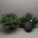 QIANYUN Fake Fern Outdoor Artificial Plants-2-Pack Artificial Outdoor Hanging Fern Faux Greenery UV Resistant Plastic Plants for Front Porch Living Room Garden Decor- Including Hanging Planters