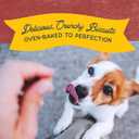 Natural Balance Limited Ingredient Rewards Crunchy Biscuits, Bite-Size Grain-Free Dog Treats for Small-Breed Adult Dogs, Made with Real Bison, 8 Ounce (Pack of 1) (EXP 10/30/25)