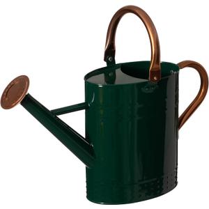 Gardenised 1 Gallon Galvanized Metal Watering Can with Removable Long Spout & Sprinkler Head for Indoor & Outdoor Use Ideal for Garden Flowers Potted Plants Houseplants Modern Home Accessories, Green