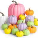Yerliker 18 Pcs Pastel Color Thanksgiving Day Assorted Sizes Artificial Pumpkins Fall Decorative Pumpkins Foam Pumpkin for Thanksgiving Harvest Decorations Home Table Centerpiece Party Decor