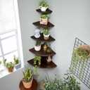 Corner Shelf,14inch Walnut Solid Wood Floating Corner Shelves Wall Mount Round End Floating Speaker Rack with Wire Hole for Small Plant for Bedroom Kitchen, Living Room, 13.78in