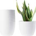 T4U 6 Inch Self Watering Planters Plastic Plant Pot, Modern Decorative Flower Pot/Window Box for All House Plants, Flowers, Herbs, African Violets, Succulents - White, Set of 6