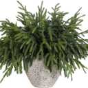 YXZZWL 16 Pcs Christmas Norfolk Pine Branches, 18 Inch Real Touch Artificial Norfolk Pine Branch Faux Cedar Pine Stem Fake Greenery Pine Picks for Vase DIY Garland Wreath Home Decoration