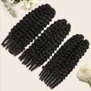Feather Crochet Human Hair, 100% Human Hair Extensions 20Inch 100 Strands 120g for Black Women,Natural Black 1B# Water Curly (SR01/20P2)