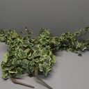 Hollyone 2pcs Artificial Hanging Plants 35.4" Fake Ivy Vine Faux Ivy Leaves Fire and UV Resistant Hanging Plant Wall Greenery for House Room Patio Indoor Outdoor Home Shelf Office Wedding Decor