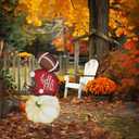 hogardeck Fall Decorations for Home Outdoor, 32" Decorative Garden Stakes with 3 Stacked Pumpkin Football Helmet for Fall Decor, Metal Yard Signs for Garden Home Lawn Patio Thanksgiving Decorations (Rbw)