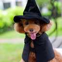 Hooded Cloak Witch/Wizard Costume for Medium Pets, Dog Halloween Costume Hat Cape, Black Dog Witch Costumes, Medium