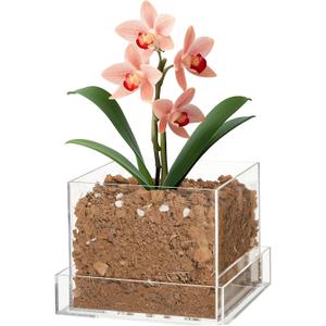 Clear Plant Nursery Pots Acrylic Orchid Pots with Drainage Holes and Tray Transparent Planter for Indoor Plants, Succulents, Herb, Flowers and Cactus Decorative(6 Inches, Square)