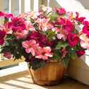 Artificial Rose Red Petunias, 4 Pack UV Resistant Faux Flowers for Outdoor | Vibrant Colors, UV Resistant, Never Fades,Silk Material, Maintenance-Free, Versatile Decor