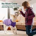 Kuoser Recovery Suit for Dogs After Surgery, Soft Dog Surgery Suit Female Male, Breathable Pet Surgical Recovery Shirt, Anti Licking Dog Onesie for Abdominal Wounds Cone Alternatives, Purple XL