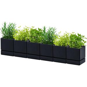D'vine Dev 4 Inch Herb Planter Pot, Plastic Planter with Drainage Holes and Saucer, Modern Decorative Gardening Pot for Indoor Plants, Flowers, Herbs, Succulents, Black, Set of 6, 76-Y-B6-1