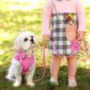 Didog Cute Small Dog Harness Collar and Leash Set with Bowtie, Breathable Soft Mesh Padded Puppy Harness, Dog Harness for Small Dogs Daily Walks Parties, Holiday Gatherings & Gifts, Hot Pink, S