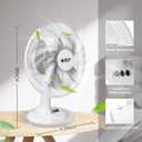 BEYOND BREEZE Oscillating Table Fan Quiet 3-Speed 12-Inch Adjustable Tilt Fan with Safety Grill, Ideal for Home, Office, Dorm