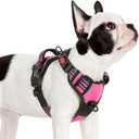 rabbitgoo Dog Harness Small Sized, No Pull Pet Harness with 3 Buckles, Adjustable Soft Padded Vest with Control Handle, Walking Reflective Pet Vest for Small Dogs, Rose Pink, S