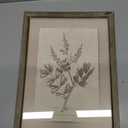 HD Designs 15.7-Inch Wood Wall Decor No. 1, 15.7 in 