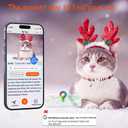 2 x Christmas Cat Collar Breakaway with Bells, Xmas Patterns Kitten Collar with Qr Code Cat Tag Christmas Pattern