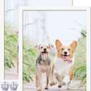 17x22 Picture Frame Set of 2, White Photo Frames High Transparent Wall Gallery Desktop Horizontal Vertical for Canvas Collage Photo Poster Certificate 17 x 22 inches