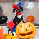 4 Pcs Halloween Clown Dog Costume Set Red Blue Clown Pet Outfit for Small Large Dog Pet Costume Accessories with Headband, Eye Mask, Bandana, Skirt for Puppy Cats Halloween Cosplay Party Favor