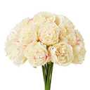 Sahoottie 10 Pcs Artificial Peony Flowers Fake Peonies Silk Flower with Stems for Home Mothers Day Wedding Party Decorations (Champagne)